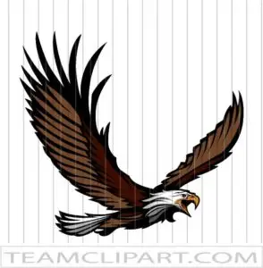 Eagle Clip Art