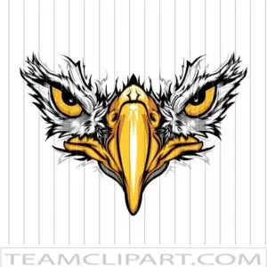 Eagle Eyes Clipart