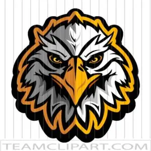 Eagle Head Vector