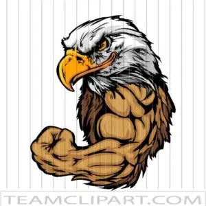 Strong Eagle Cartoon