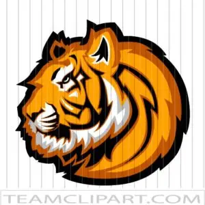Tiger Clipart