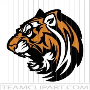 Tiger Head Clip Art