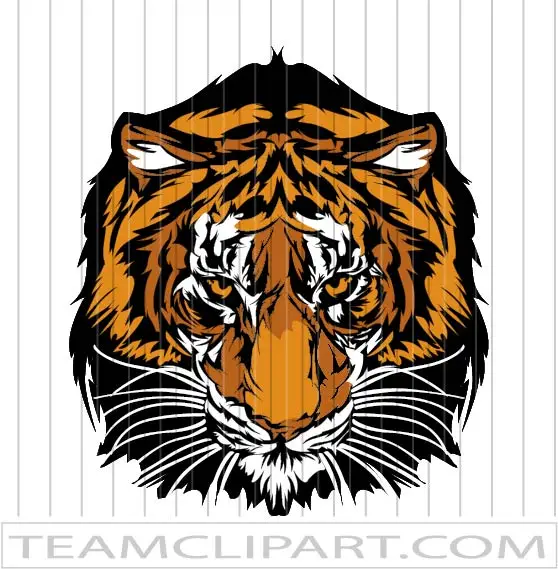 Tiger Vector