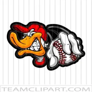 Vector Baseball Duck