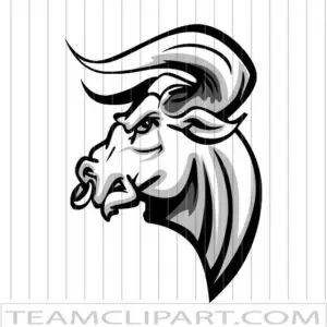 Vector Bull Head