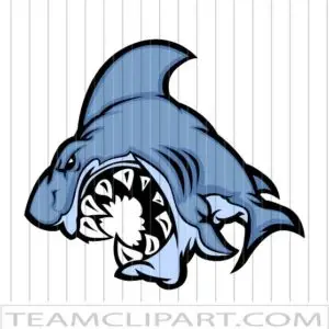 Vector Shark