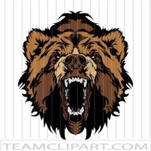 Bear Graphic