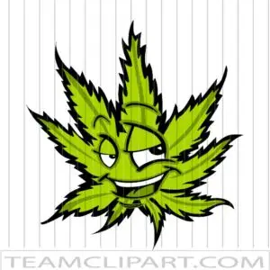 Confident Marijuana Leaf