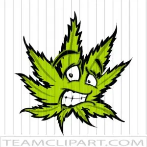 Scared Marijuana Leaf
