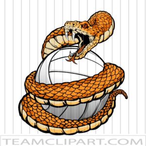 Vector Volleyball Rattlesnake
