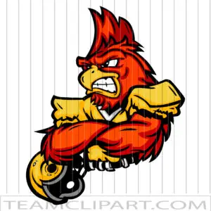 Football Cartoon Cardinal