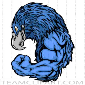 Strong Falcon Clipart