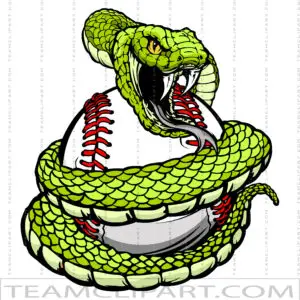 Vipers Baseball Logo