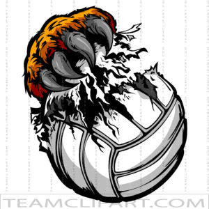 Volleyball Tiger Logo