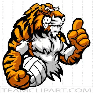 Tiger Volleyball Vector Image